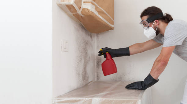 Professional Black Mold Remediation technician working in Florham Park, NJ