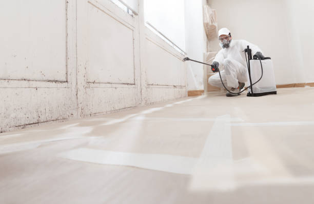 24/7 Emergency Black Mold Remediation experts in Florham Park, NJ